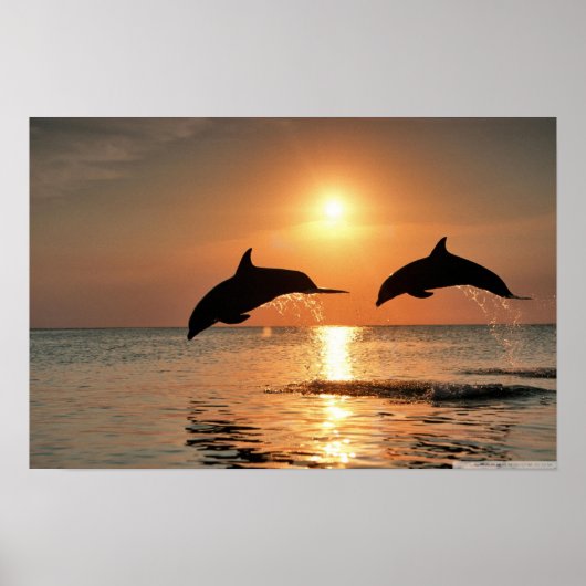 Poster du Mur du Matin (Devant)