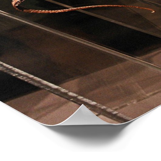 Poster du Musée des sciences naturelles de Houston (Coin)