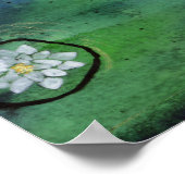 Poster du nénuphar Mermaid (Coin)