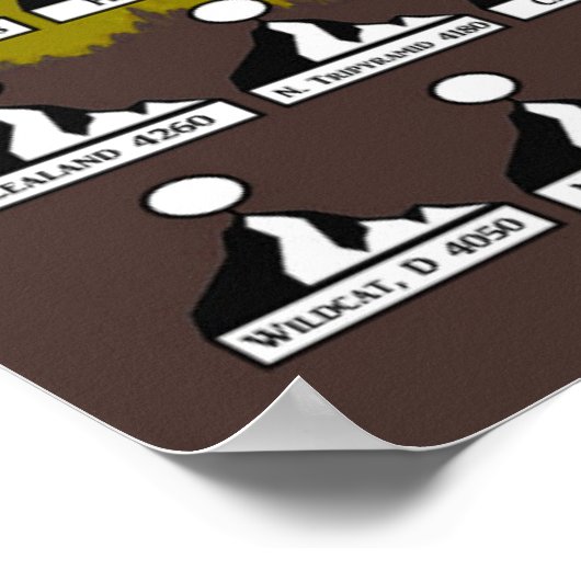 Poster du NH48 (Coin)