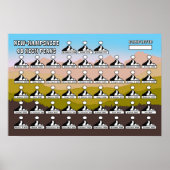 Poster du NH48 (Devant)