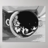 Poster du panier (Devant)