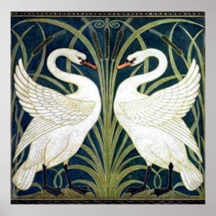 Poster du papier peint Swan and Rush and Iris