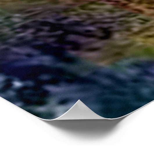 Poster du papillon bleu Morpho (Coin)