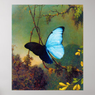 Poster du papillon bleu Morpho