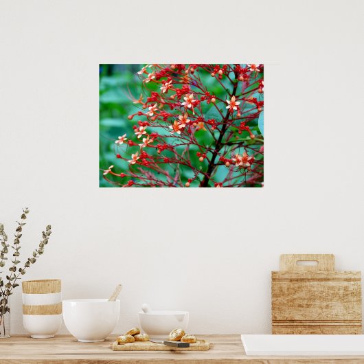 Poster du papillon Bush (Cuisine)