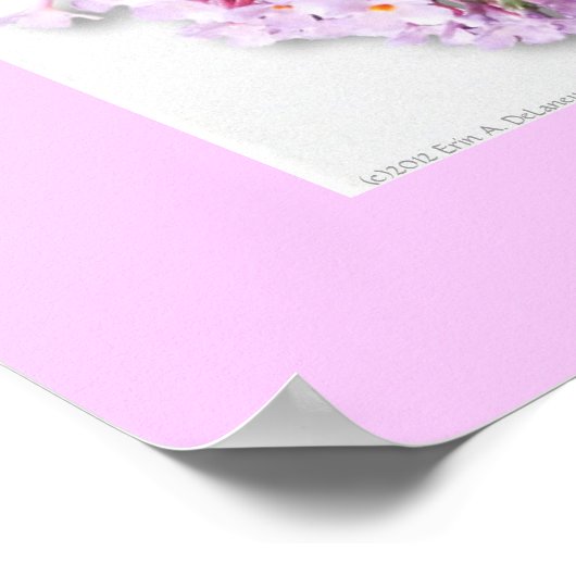 Poster du papillon Haiku (Coin)