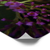 Poster du papillon Swallowtail (Coin)