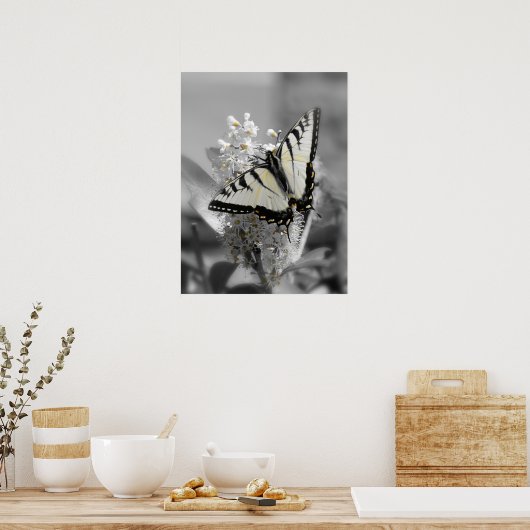 Poster du papillon Swallowtail (Cuisine)