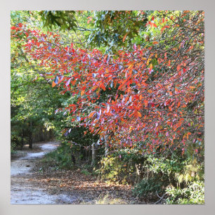 Poster du parc d'automne