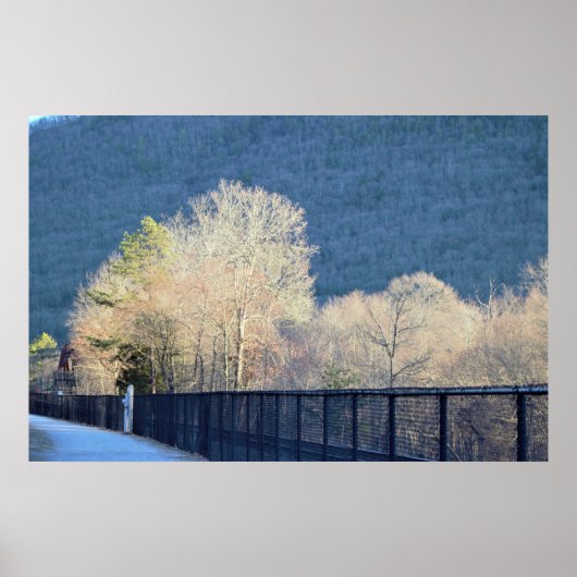Poster du parc d'état de Trees Lehigh Gorge (Devant)