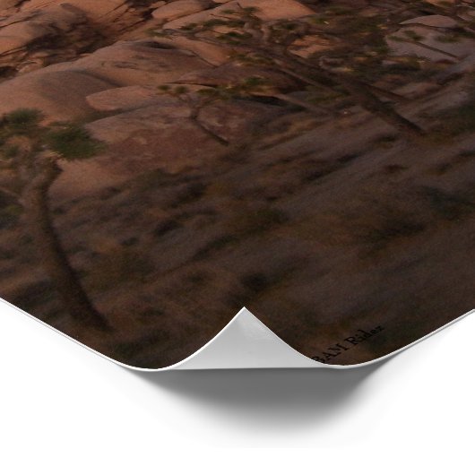 Poster du parc national Joshua Tree (Coin)