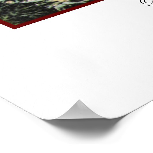 Poster du parc vintage Delaware (Coin)