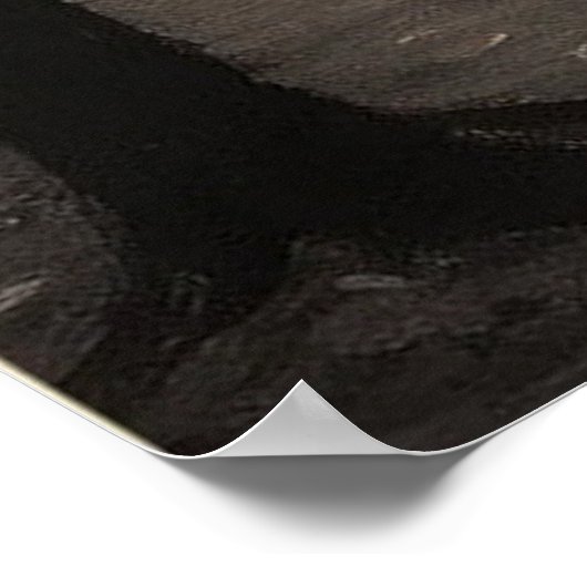 Poster du parc Winter Wonderland (Coin)