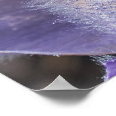 Poster du Pasqueflower (Coin)