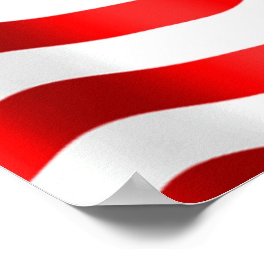 Poster du Patriot Dane Harle (Coin)