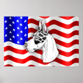 Poster du Patriot Dane Harle (Devant)