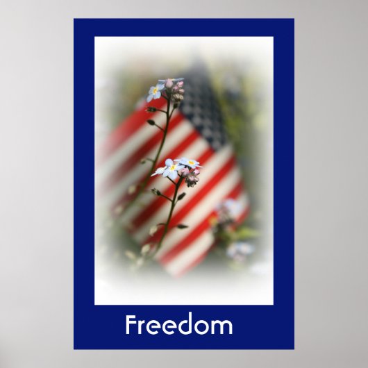 Poster du Pays du drapeau de la liberté (Devant)