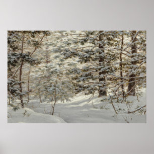 Poster du paysage neigeux
