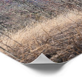 Poster du paysage nuageux (Coin)