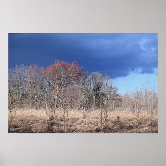 Poster du paysage nuageux (Devant)