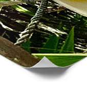 Poster du perroquet blanc Mexique Caraïbes (Coin)