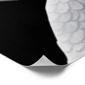 Poster du perroquet gris du Congo (Coin)