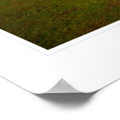 Poster du phare de Point Cabrillo (Coin)