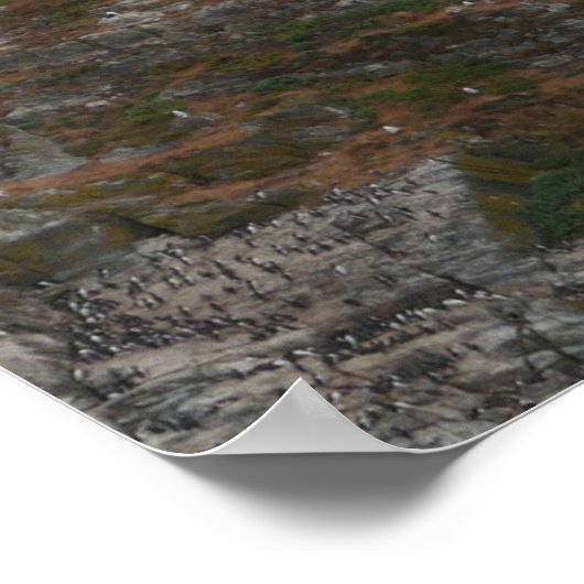 Poster du phare de South Stack (Coin)