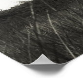 Poster du phare d'East Point (Coin)