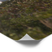 Poster du phare du Cap May (Coin)