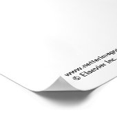 Poster du plancher pelvien de Netter (Coin)