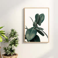 Poster du Plante vert tropical