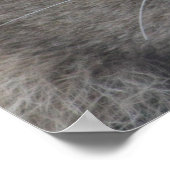 Poster du point de vue du lion (Coin)