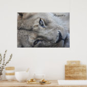 Poster du point de vue du lion (Cuisine)