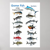 Poster du poisson de l'océan Atlantique tropical (Devant)