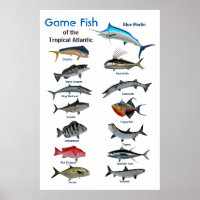 Poster du poisson de l'océan Atlantique tropical