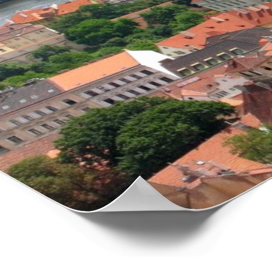 Poster du Pont Charles (Coin)