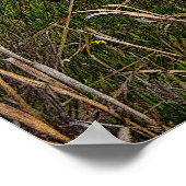 Poster du pont du ruisseau Bixby 36 x 24 (Coin)