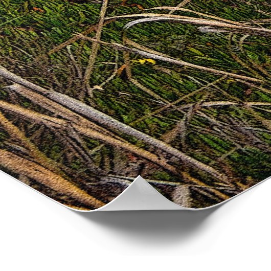 Poster du pont du ruisseau Bixby 36 x 24 (Coin)