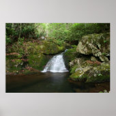 Poster du pool cool (Devant)