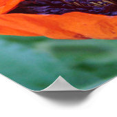 Poster du Poppy (Coin)