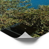 Poster du port de Sydney (Coin)