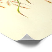 Poster du portefeuille Gould Gouldian Finch (Coin)