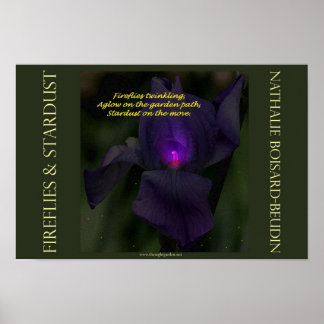 Poster du portfolio "Fireflies & Stardust" (16,5 x