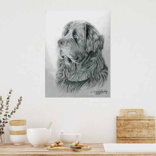 Poster du portrait de Terre-Neuve (Cuisine)