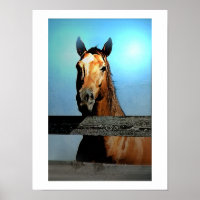Poster du portrait du cheval