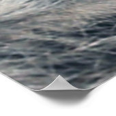 Poster du portrait Raccoon (Coin)