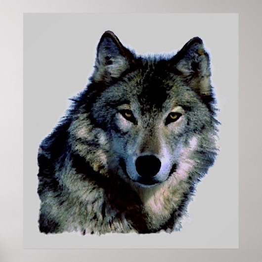 Poster du portrait Wolf (Devant)
