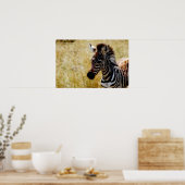 Poster du poulain zébrée, affiches, photos (Cuisine)